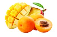 Apricot Mango Flavor Concentrate for Frozen Yogurt