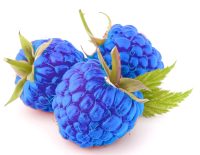BlueRaspberry Flavor Concentrate for Frozen Yogurt