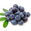 Blueberries Flavor Concentrate for Frozen Yogurt