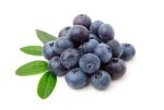 Blueberries Flavor Concentrate for Frozen Yogurt