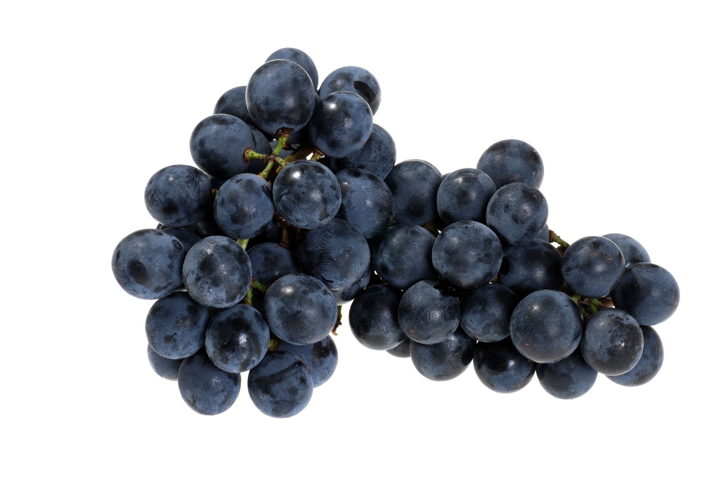 concord grape