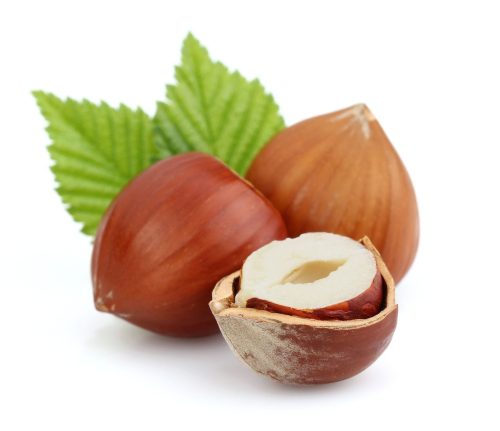 Hazelnut Flavor Concentrate for Frozen Yogurt