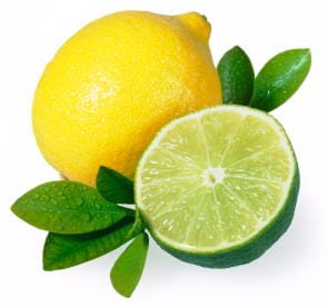 Lemon Lime Flavor Concentrate for Frozen Yogurt