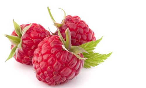 Red Raspberry Flavor Concentrate for Frozen Yogurt