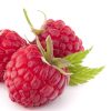 Red Raspberry Flavor Concentrate for Frozen Yogurt