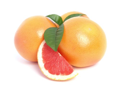 Grapefruit Flavor Concentrate for Frozen Yogurt