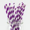 PaperStraws PurpleStriped