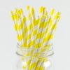 PaperStraws YellowStriped
