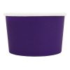 Eco-Friendly FroYo and Ice Cream Cups  Purple