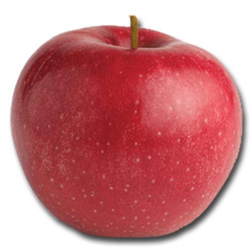 Apple Flavor Concentrate