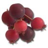 Juneberries Juneberry Flavor Concentrate (aka Serviceberry)