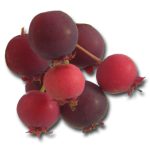 Juneberry Flavor Concentrate (aka Serviceberry)